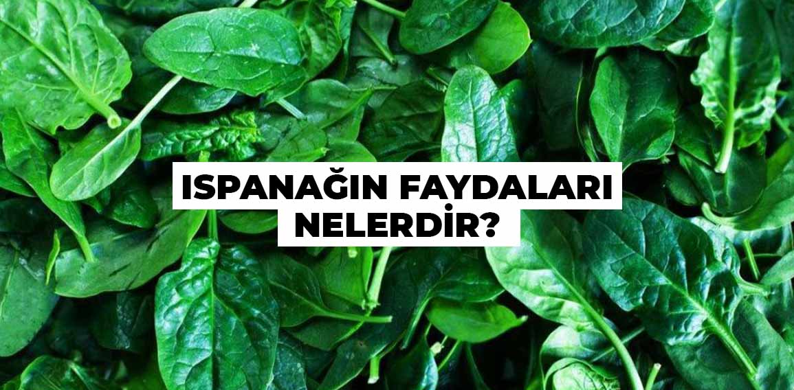Ispanağın Faydaları ve Sağlığa Katkıları