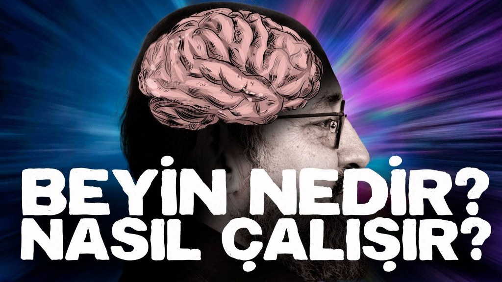 Beyin Nedir? Nasıl Çalışır? Beynin Yapısı Nelerden Oluşur?