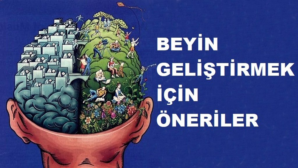 Beyin Gelişimini Destekleyen Öneriler