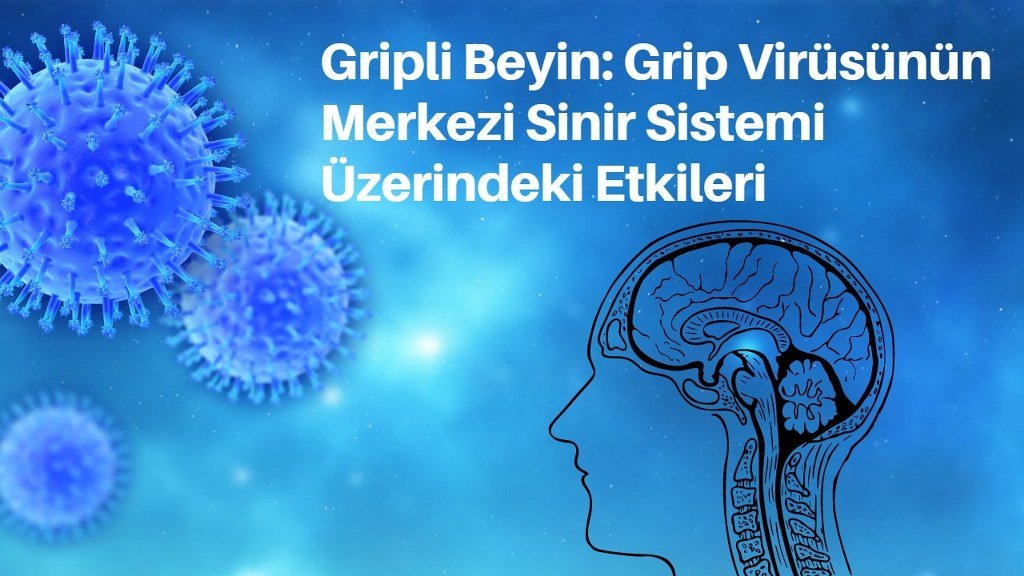 Grip Virüsünün Merkezi Sinir Sistemi Üzerindeki Etkileri