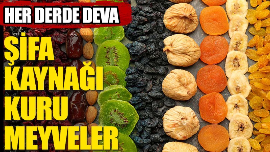 Kuru Meyveler ve Sağlık: Enerji, Sindirim ve Bağışıklık Sistemi Üzerindeki Etkileri