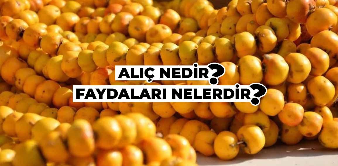 Alıç Nedir? Faydaları ve Kullanım Şekilleri