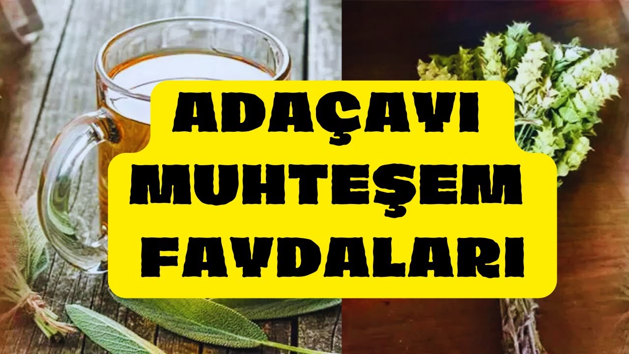 Adaçayı Nedir? Adaçayının Sağlığa Faydaları Nelerdir
