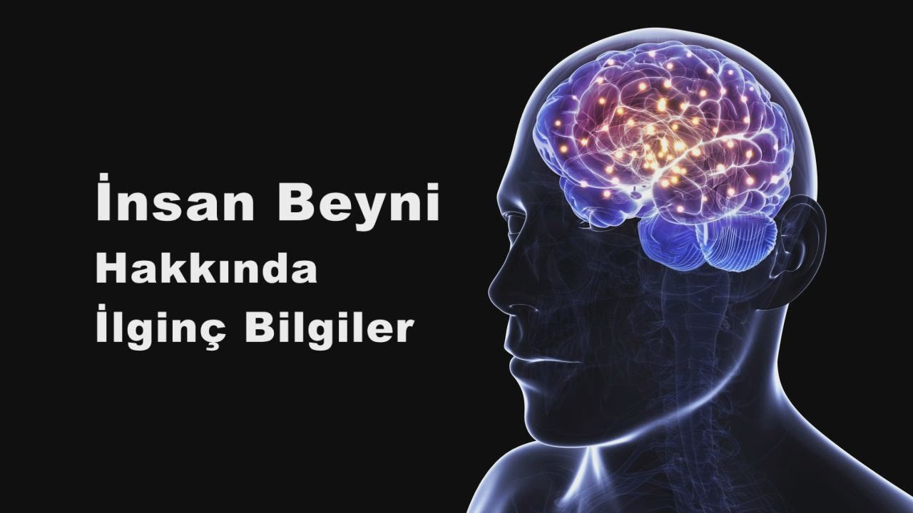 Mucizevi Beyin: Beynimizin İlginç Özellikleri