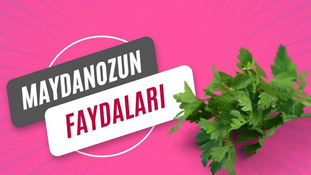 Maydanozun Faydaları ve Kullanım Alanları: Doğal Sağlık Mucizesi