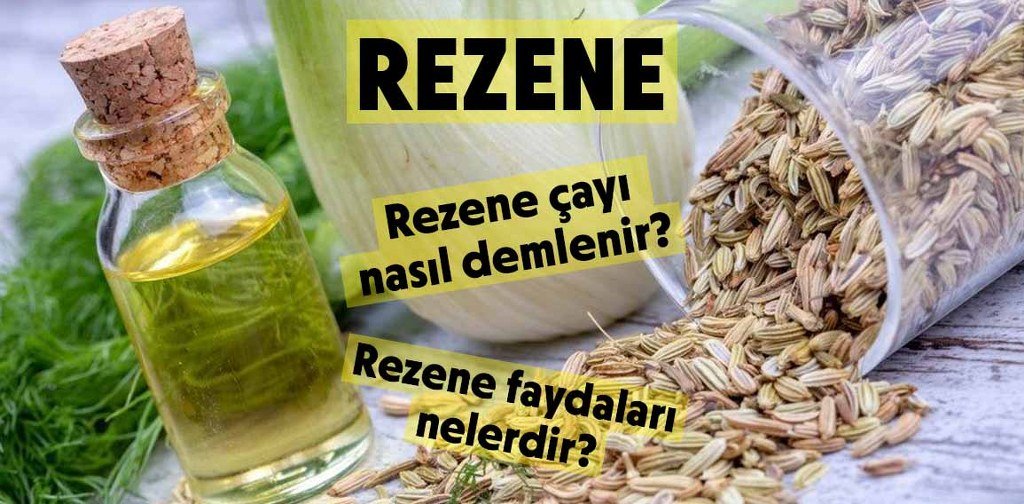 Rezene Nedir? Faydaları Nelerdir? Rezene Nerelerde Kullanılır?
